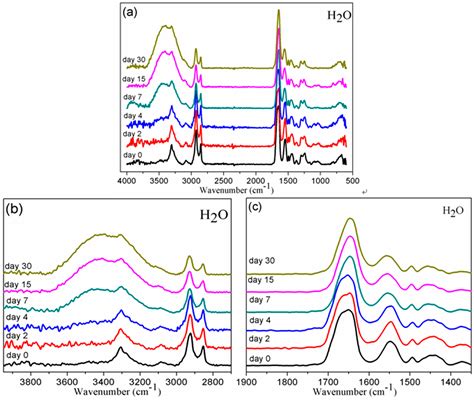 Preparation of Bio-Based Polyamide Elastomer by Using Green Plasticizers