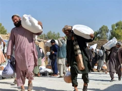 Over nine million people in Afghanistan face acute food insecurity: UN