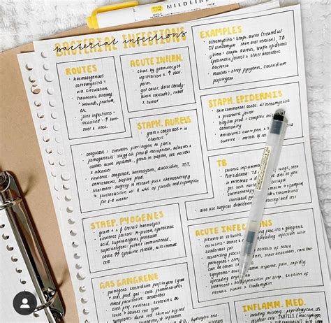 Image result for Organized Notes