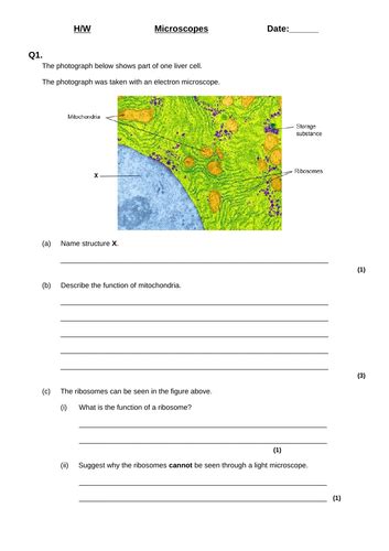 Microscopes GCSE Free Science Lessons 的图像结果