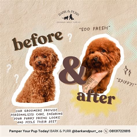 BARK & PURR | Grooming, Meals & Supplies (@barkandpurr_co) • Instagram ...