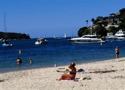 Chinamans Beach (Mosman) - 2021 What to Know Before You Go (with Photos ...
