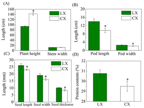 Differences in Grain Microstructure and Proteomics of a Broad Bean ...
