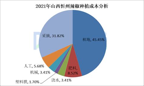 2021年中国辣椒种植面积、产量及加工产业链情况分析[图]_智研咨询