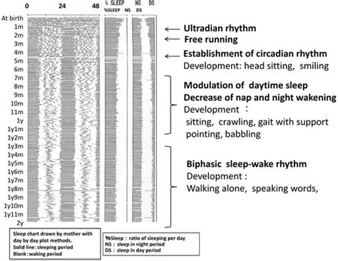 Problems in the Development of the Sleep–Wake Rhythm Influence ...