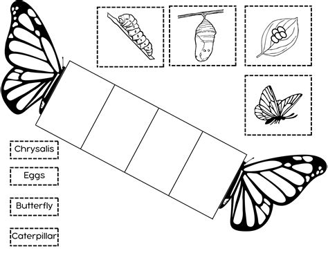 Butterfly Life Cycle | Butterfly life cycle, Life cycles, Butterfly ...