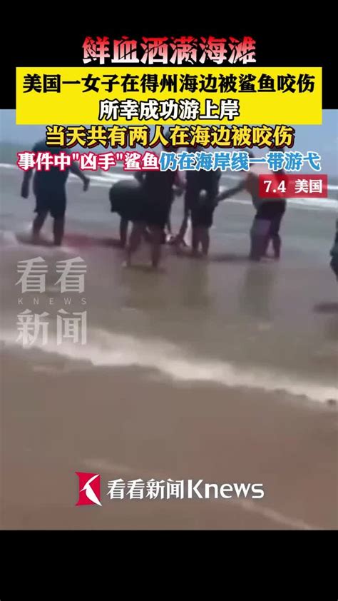 女子潜水被鲨鱼咬伤后遭网暴最新素材