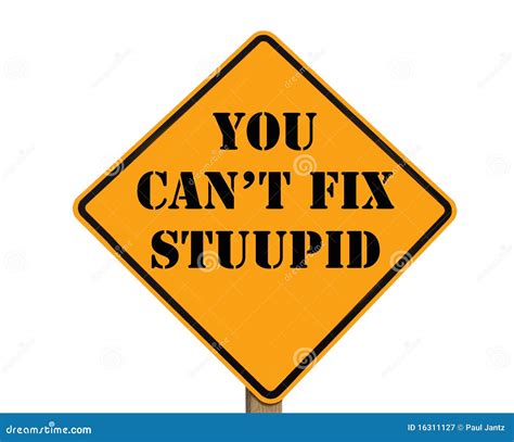 Road Sign Stating You Can T Fix Stupid Stock Illustration ...