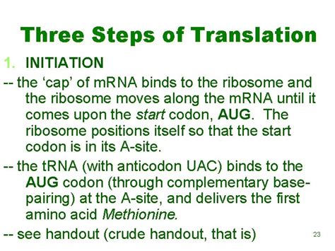 Image result for Complementary Strand