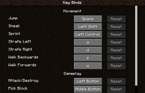 Image result for Basic Controls of Minecraft of PC