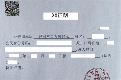 浙江政务服务网-无违法犯罪记录证明