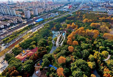 上海滨江森林公园- 森林旅游