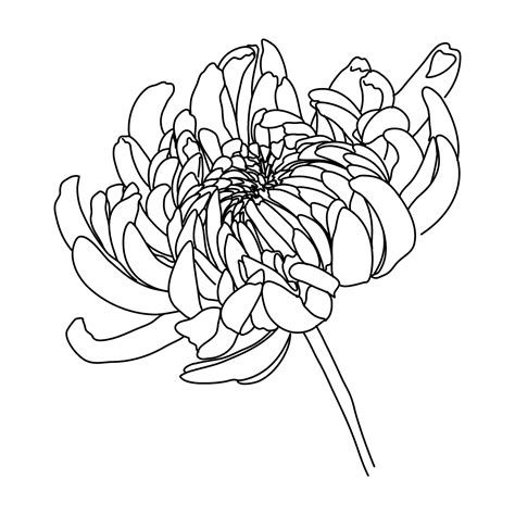 Image result for Adobe Illustrator Flower Tutorial
