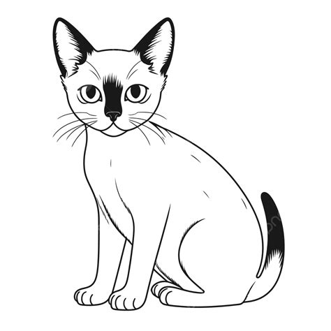 Coloring Page Siamese Cat