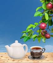 Image result for Cute Cup of Tea