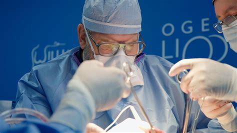 Dr. William Miami in Miami, FL 33134 - (786) 7...