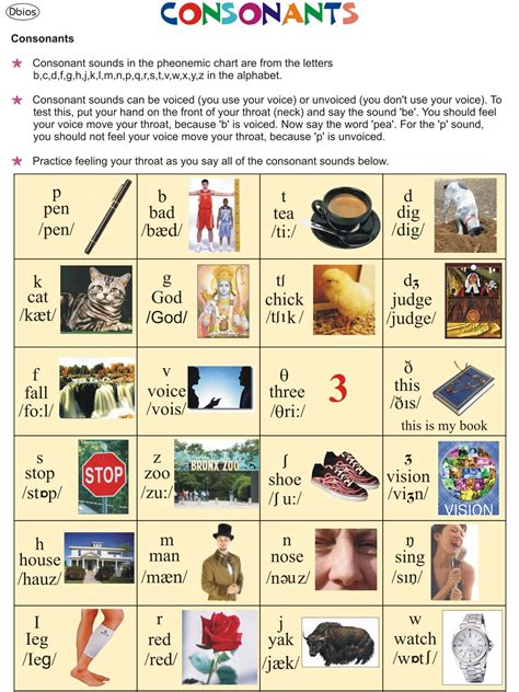 Image result for Language Lab Charts