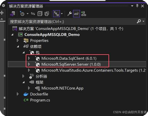 SQL Server ASP.NET 9 的图像结果