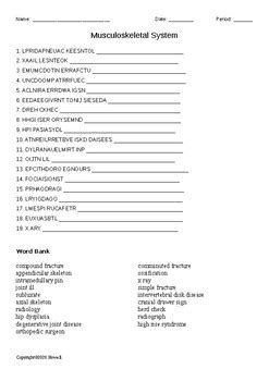 Image result for Musculoskeletal System Word