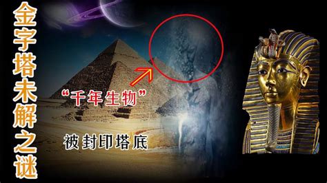 埃及金字塔到底是如何建造的？它和我国长城，哪个建造难度更大？_人力_石块_建筑