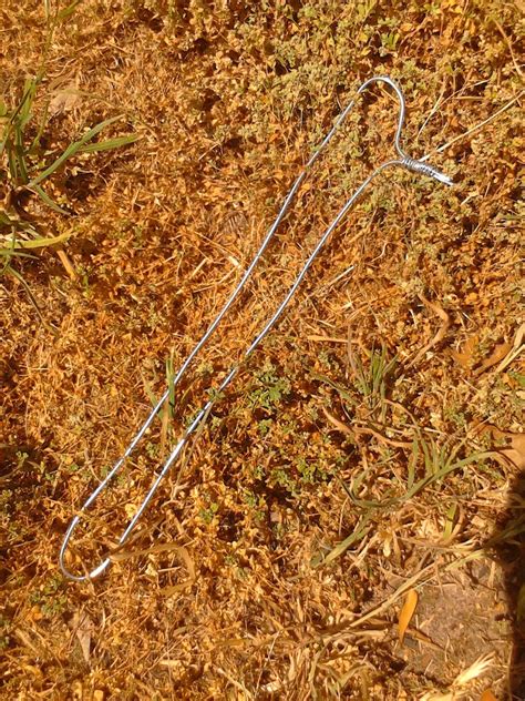 Robotic Bird Build 的图像结果