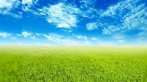 Image result for Fun Spring Phot