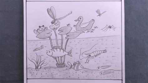 Ecosystem Drawing 的图像结果