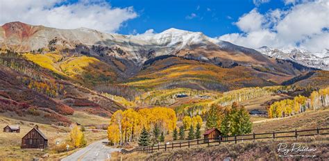 Colorado Fall Aspens