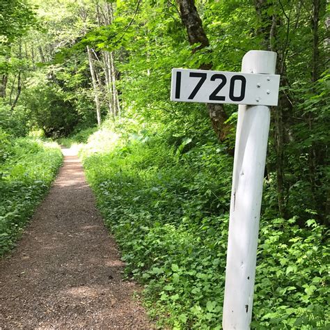 IRON GOAT TRAIL (2026) All You SHOULD Know Before Going (with Photos)
