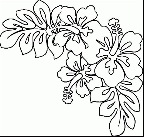 Hawaiian Flower Drawing at GetDrawings | Free download