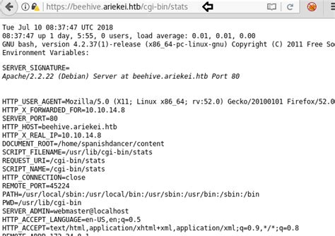Hack the Box Challenge: Ariekei Walkthrough