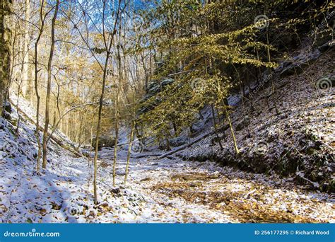 View of Hemlock Cliffs in Autumn after a Light Snow, Indiana Stock ...