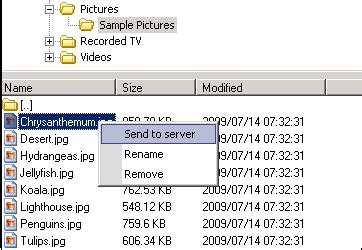 +Videos On Using a File Transfer Program Ta Cliant 的图像结果