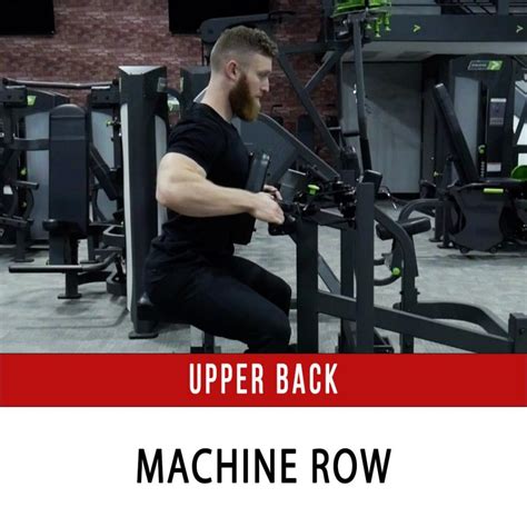 Upper Back Machine Row 的图像结果