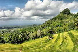 Image result for Bukit