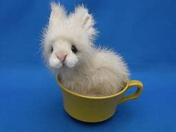 Image result for Teacup Bunny Pet