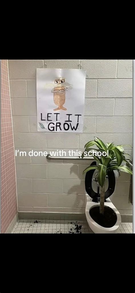 School Toilet Plant - Memes - Worst Jokes Ever