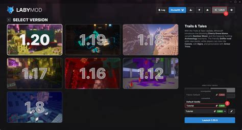 Image result for How to Install Laby Mod