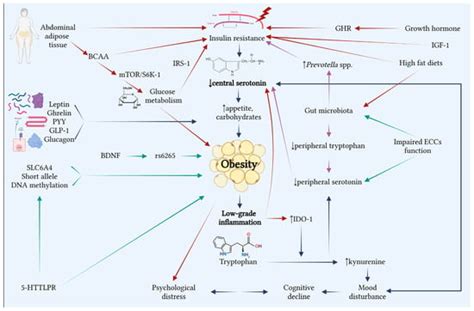 IJMS | Special Issue : Emerging Roles for Serotonin in Regulating ...