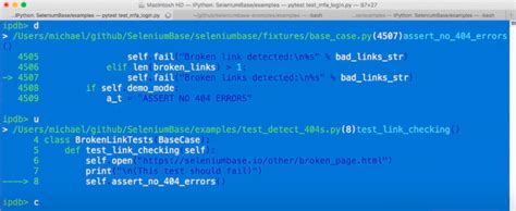 Python Debugger 的图像结果