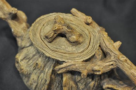 Image result for Sesame Tree Potter