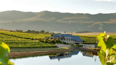 Visit Creation Wine Farm In The Hemel En Aarde Valley