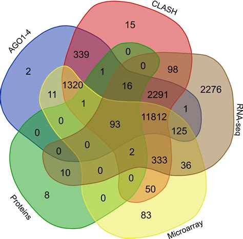 Home-The mythology of micro-RNAs