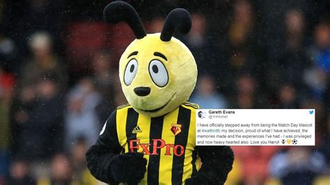 Watford's Harry the Hornet quits after Roy Hodgson brands mascot ...