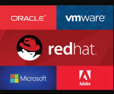 Image result for Microsoft License Software