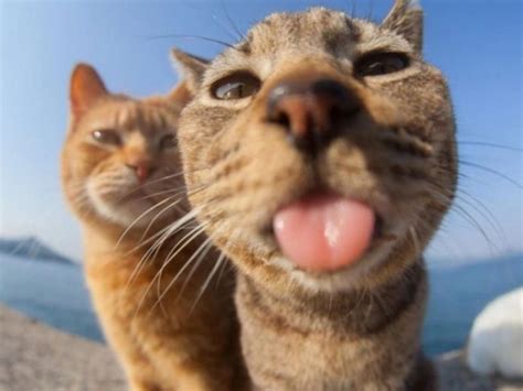 Image result for vs Code Remote Containers PIP