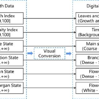 Image result for Visual Framework for Performance