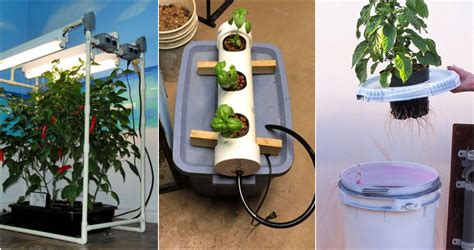 Hydroponic Systems DIY 的图像结果
