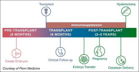 Emerging Technologies: Uterus Transplantation - Clinical Tree