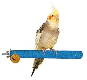 Sage Square 6 inch Bird Perch Parrot Perch Natural Wood Sand Platform ...